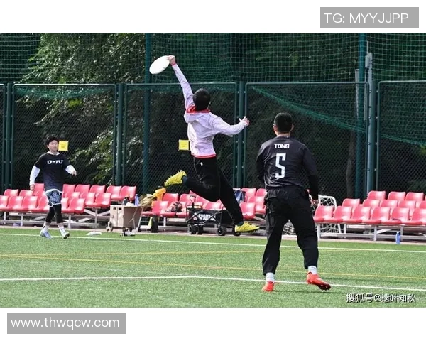 飞盘巨献：深入探讨北京飞盘队的实力与团队精神